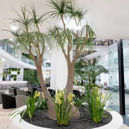 Hotell Gf Victoria Costa Adeje (Tenerife)